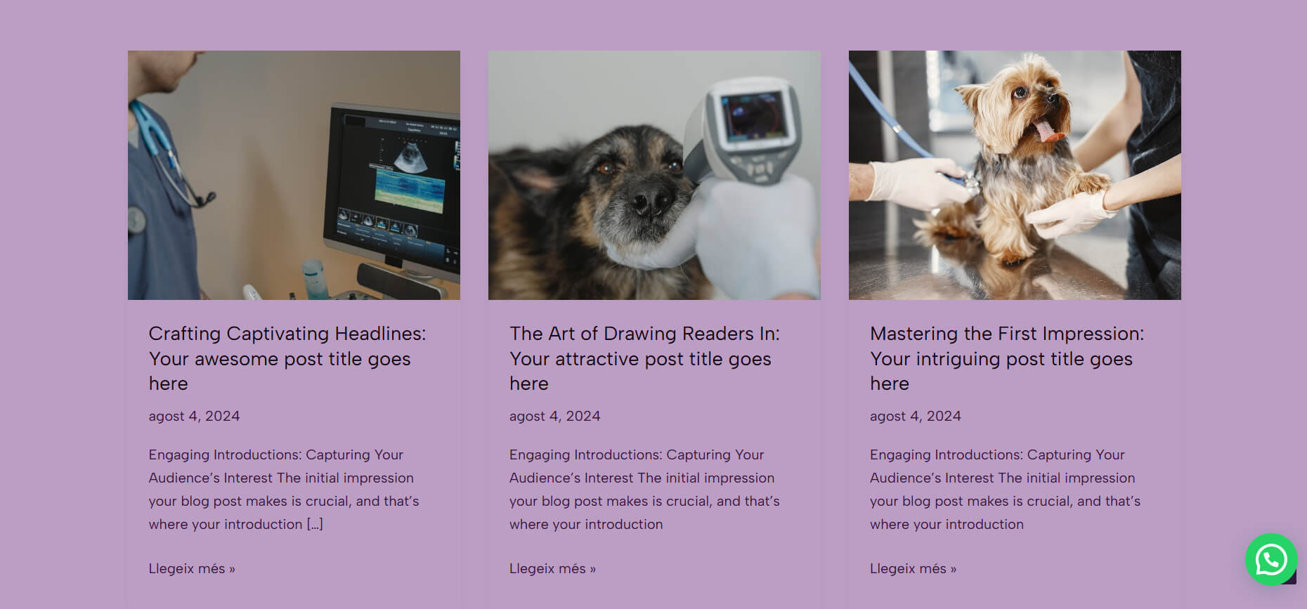Web antigua — blog con posts placeholder en inglés